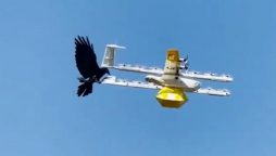 Raven took offense to drones flying into its territory