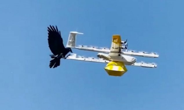 Raven took offense to drones flying into its territory