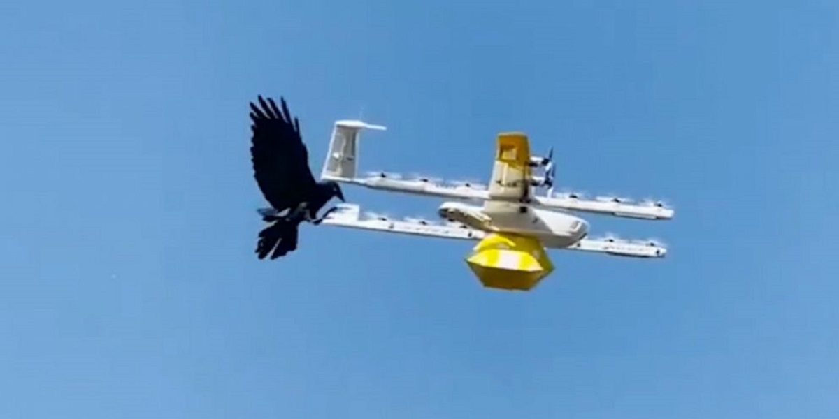 Raven took offense to drones flying into its territory