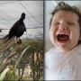 Did you know there is a bird that makes baby crying sound