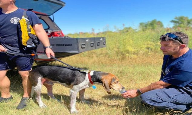 Firefighters rescued three people and a dog in Colorado Lake