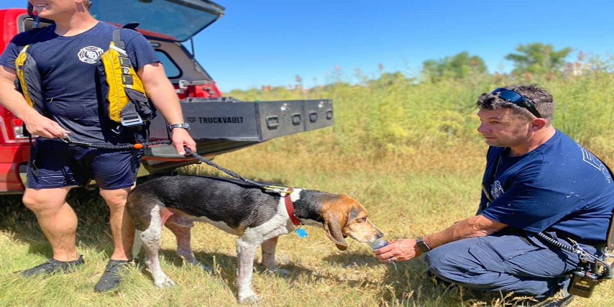 Firefighters rescued three people and a dog in Colorado Lake