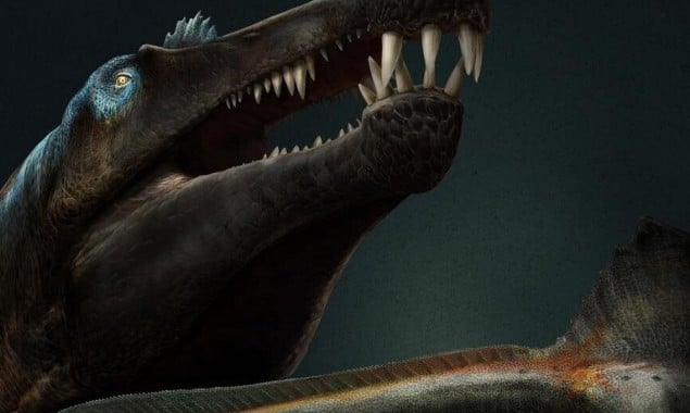 Researchers discovered the Shark-toothed dinosaur