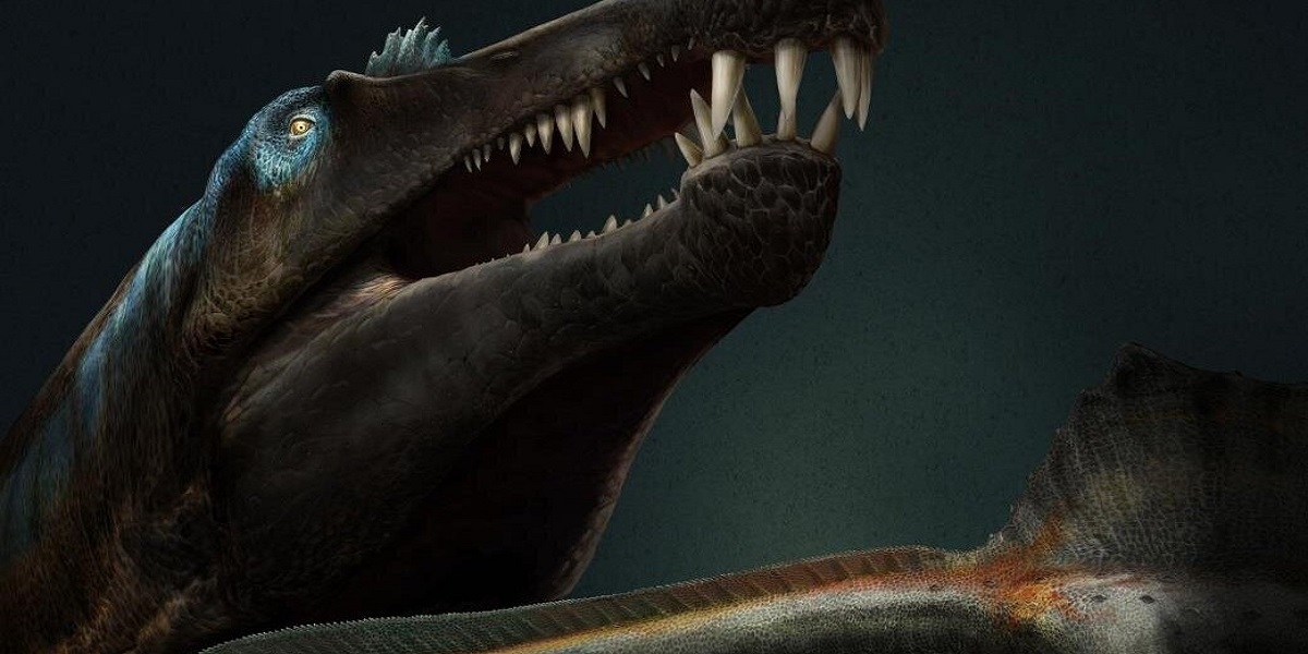 Researchers discovered the Shark-toothed dinosaur