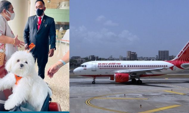 Dog owner books entire air India business class cabin to fly her pet from Mumbai To Chennai