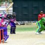 Cricket Associations Championship begins on Wednesday