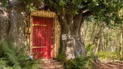 Winnie-the-Pooh’s Cottage in England is available for rent