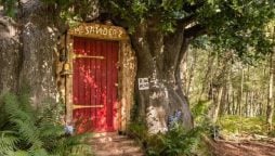 Winnie-the-Pooh Cottage in England is available for rent