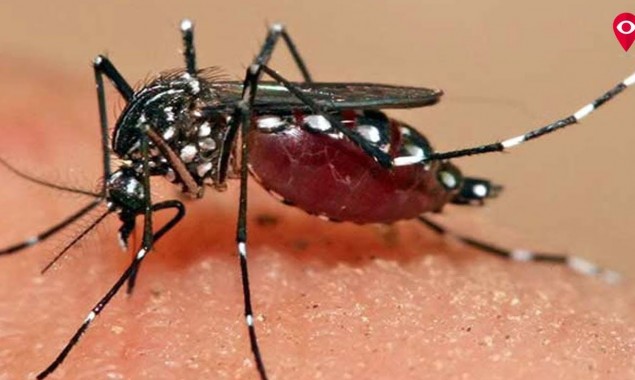 At least 10 dead, 18,000 infected with dengue fever in Sri Lanka so far this year