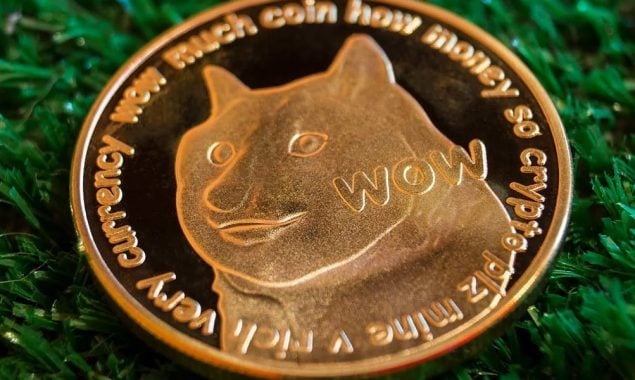 Dogecoin price against Pakistan Rupees on November 16, 2021