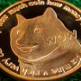 Dogecoin price against Pakistan Rupees on November 16, 2021