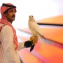 Saudi Falcons Club sells Gyrfalcon for record over $460,000