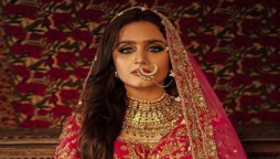 Hira Mani looks gorgeous in bridal festive attire, see photos