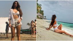 PHOTO: Disha Patani leaves fans drooling as she misses beach days