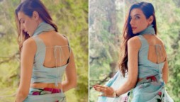 Sadia Khan looks stunning in her floral saree, see photos