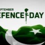 Pakistani celebs pay tribute to soldiers on Defence day