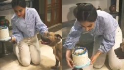 Ushna Shah gives an adorable moment on her pet’s birthday, watch video