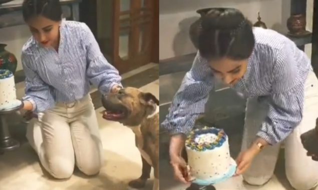 Ushna Shah gives an adorable moment on her pet’s birthday, watch video