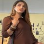Sana Fakhar looks alluring in a brown saree, see photos