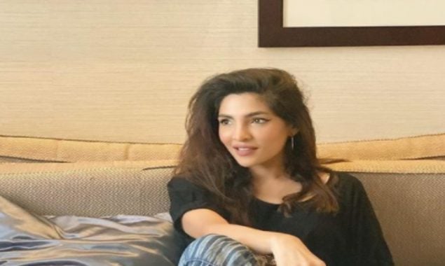 Zhalay Sarhadi looks elegant in her latest picture, see photos