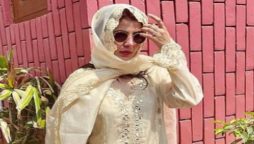 Areeba habib looks