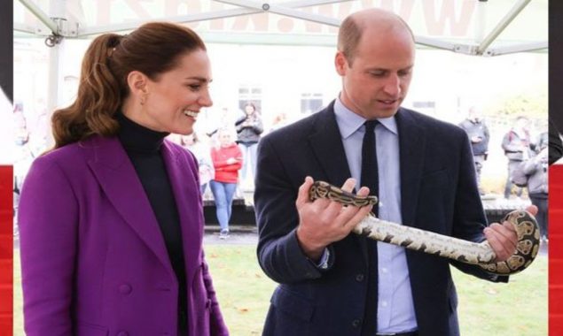 During a visit to the zoo Prince William plays with a snake
