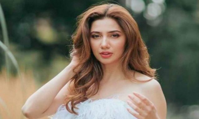 Here is how Mahira Khan fires back at a troll with an apt reply