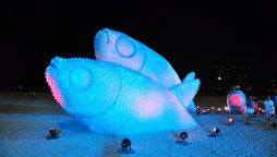 Sculptures made entirely from plastic bottles on the beaches Rio De Janerioof