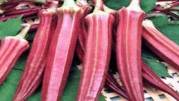 India: Red lady finger that costs Rs 800 per kg, here’s why?