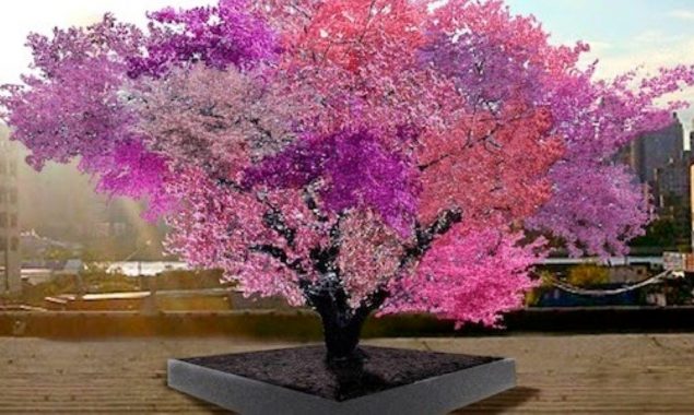 This amazing tree that grows 40 different fruits