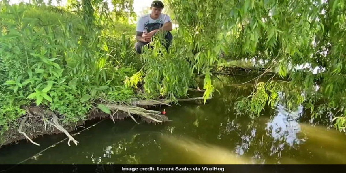 Watch: Fisherman is dragged into a lake by a huge fish