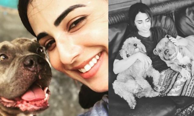 Ushna Shah receives flak for celebrating pet dog’s birthday