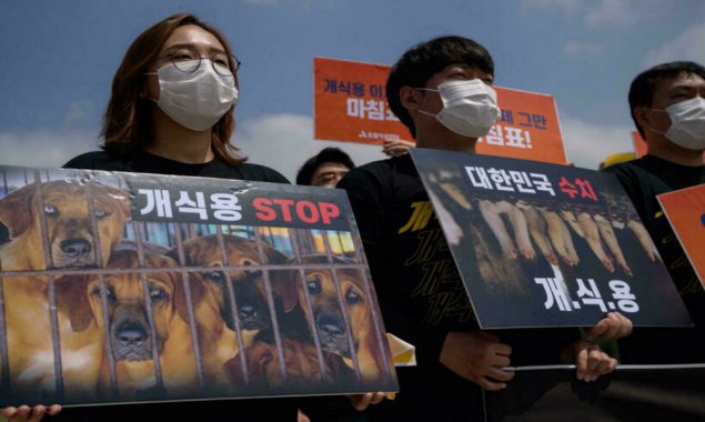 South Korea’s President Moon raises dog meat ban