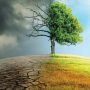 A vulnerable climate: An analysis of the impacts of climate change on Pakistan