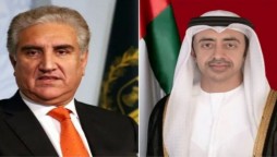 FM Qureshi, Emirati counterpart agree to strengthen cooperation in diverse fields