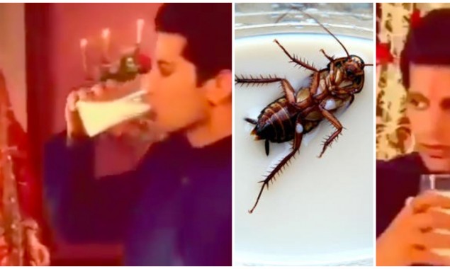 Groom drinking cockroach milk in Indian Drama, video resurfaces online