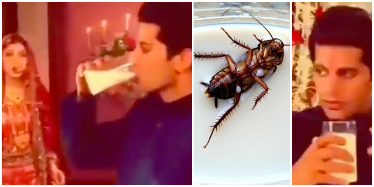 Groom drinking cockroach milk in Indian Drama, video resurfaces online
