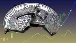 Cardano (ADA) introduces smart contracts after effective hard fork