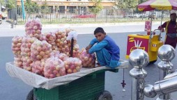 Haseeb like 10 million Afghan children needs humanitarian assistance to survive