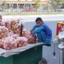 Haseeb like 10 million Afghan children needs humanitarian assistance to survive