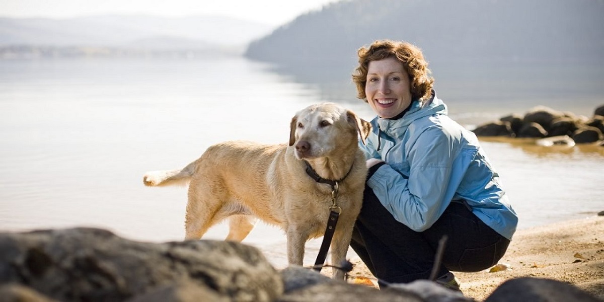 Regular walks or physical activity can help dogs avoid dementia