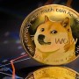 Dogecoin to PKR: Today 1 Dogecoin Price in Pakistan, 12th October 2021