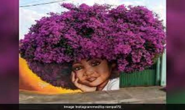 Arjun Rampal gives a shout-out to Brazil’s incredible street art