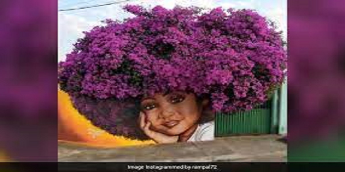 Arjun Rampal gives a shout-out to Brazil's incredible street art