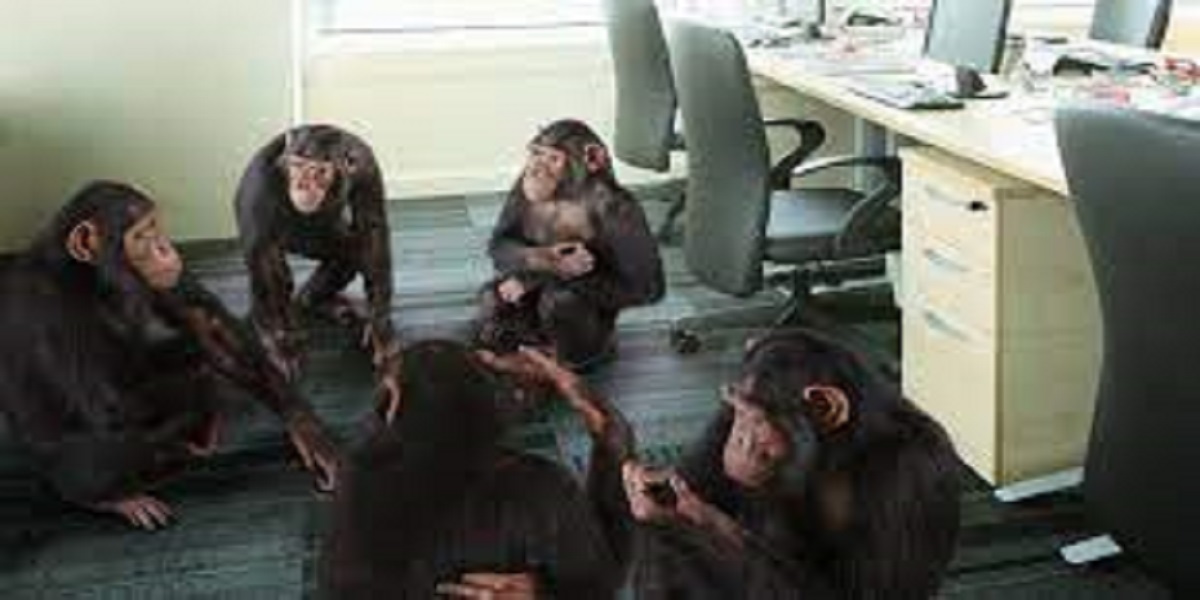 At Gwalior school a monkey sits on the principal’s chair in this video