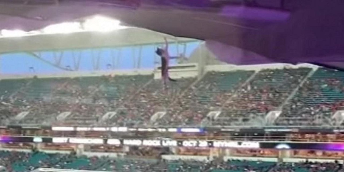 Falling cat using the banner at an American football match