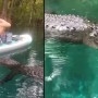 Florida: Alligator attempts to bite woman’s paddleboard