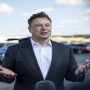 Elon Musk expressed support for cryptocurrency, naming it indestructible