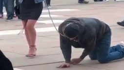 Woman walks husband on a leash after curfew, ends up with $3000 fine