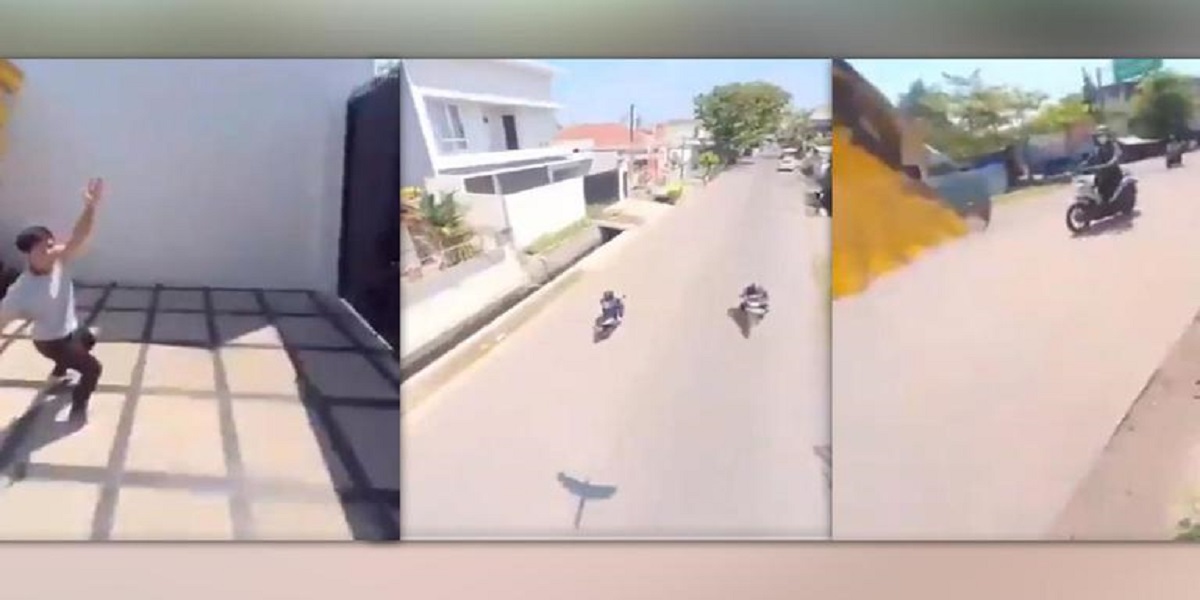 Video of a parrot fly away while grabbing a person's mobile phone